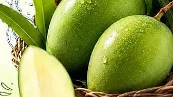 भीषण गर्मी में सेहत का साथी