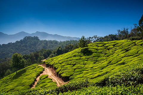 6 beautiful destinations in India that you must visit in summer
