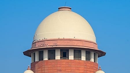 सुप्रीम कोर्ट से डॉग लवर्स को बड़ा झटका, पूर्व आदेश में बदलाव की मांग वाली याचिका खारिज