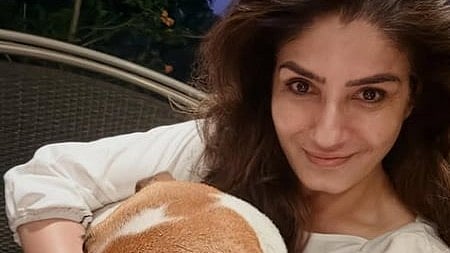 लावारिस कुत्तों के मुद्दे पर रवीना टंडन ने की अपील, इंसानियत और दया दिखाए पंजाब सरकार
