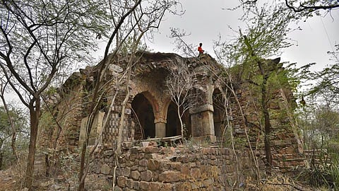  मालचा महल (Malcha Mahal)