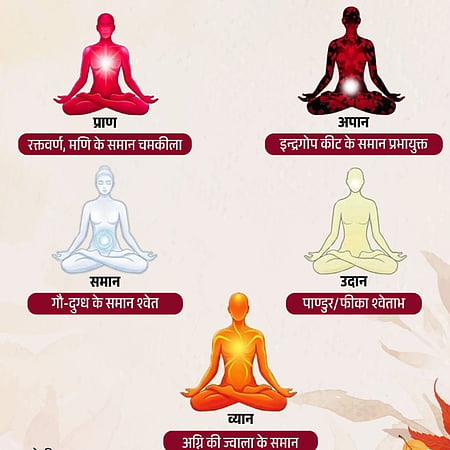 शरीर में बहती हैं 5 प्राण ऊर्जाएं, जानिए इनके रंग और काम