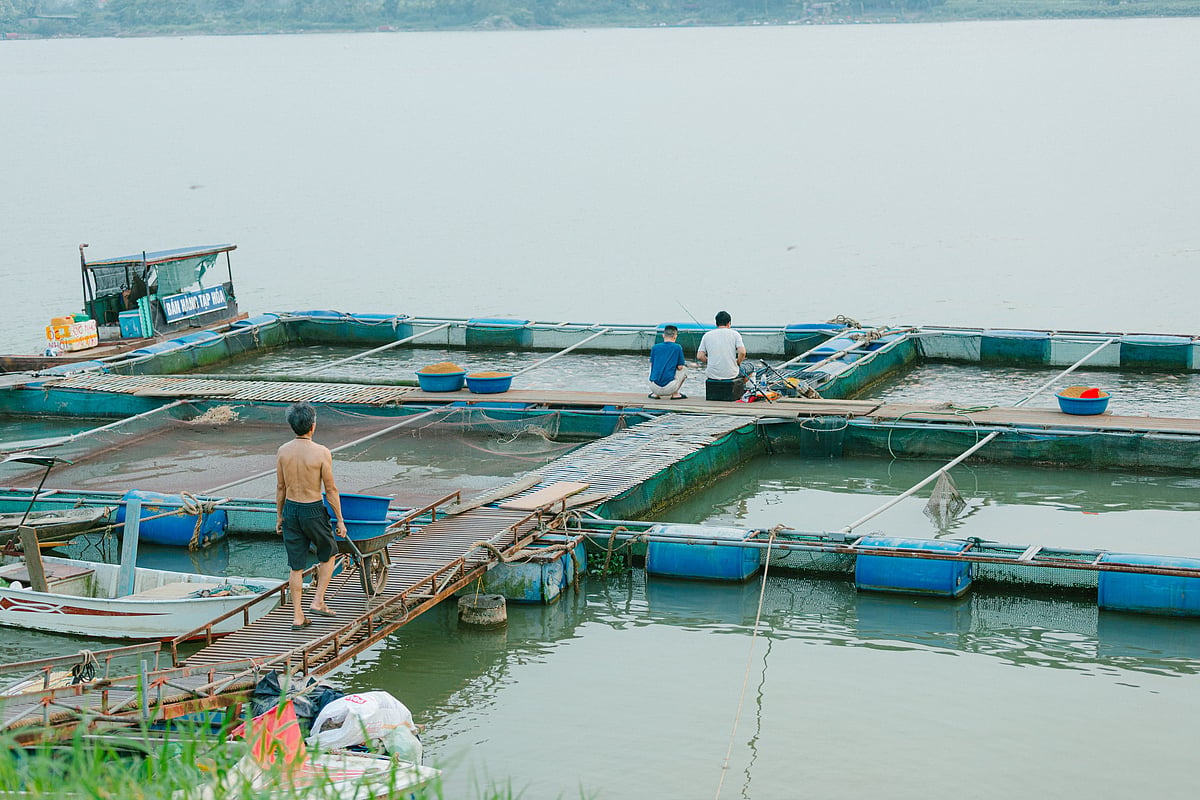 Xinjiang Seafood: China’s Fish Farms and Forced Labor Concerns