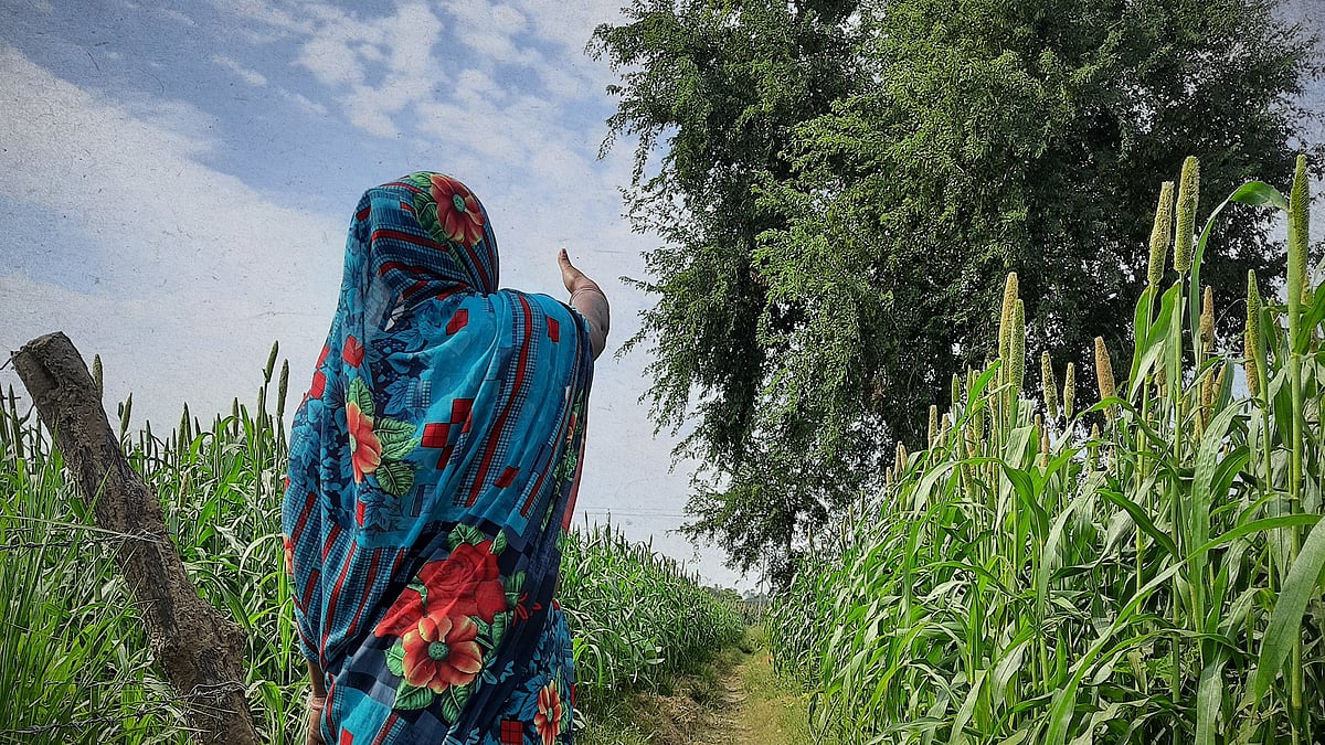 Asha's mother a few weeks after her daughter's death in the field where Asha was raped.
