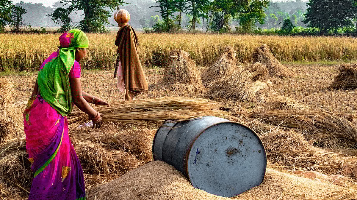 Most women are working as skilled agricultural and fishery workers, data shows.