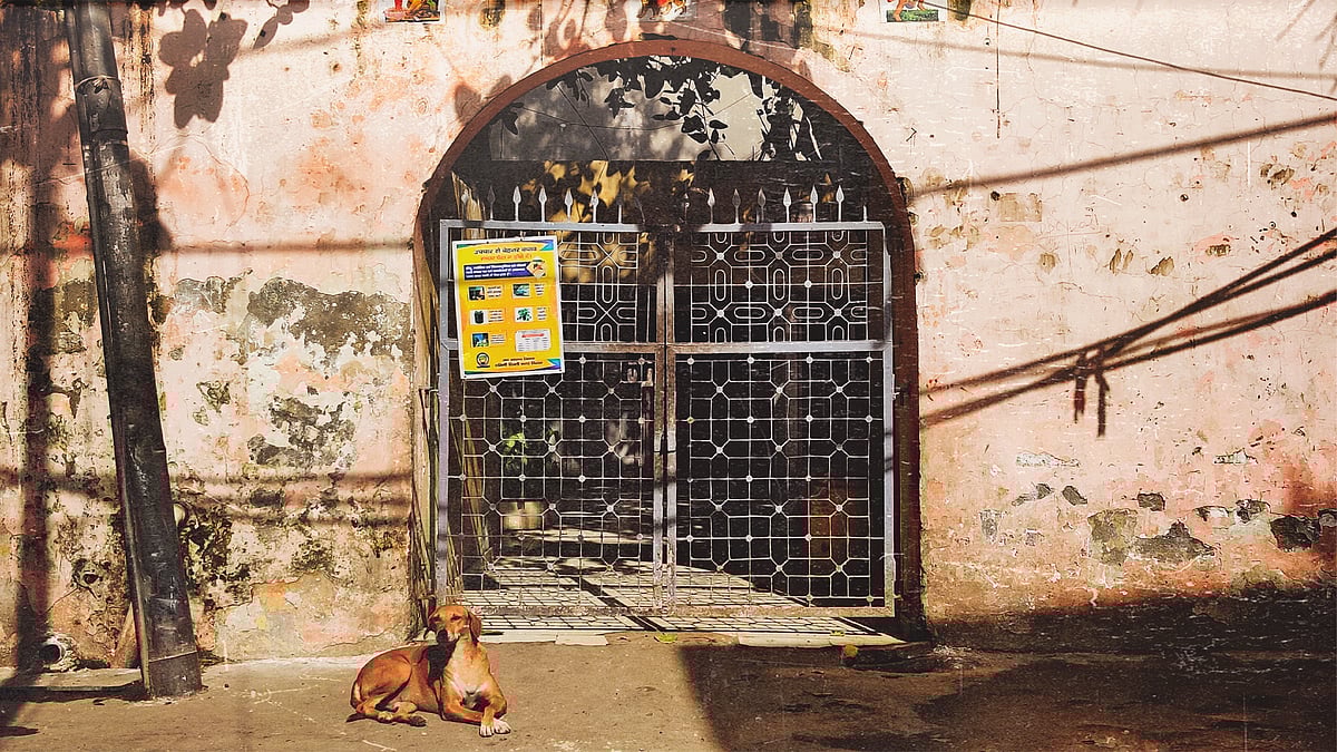 The gates of Maata Mandir in Satbari village.