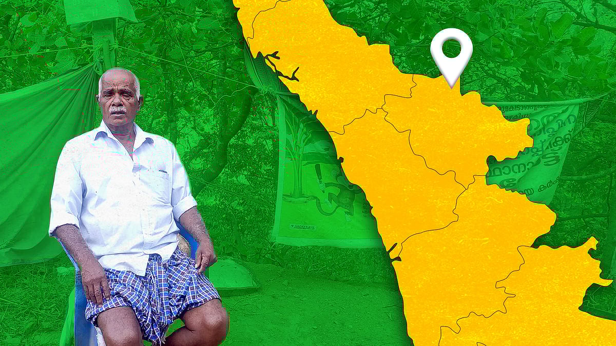 थॉमस का कहना है कि उनकी काजू की फसल बुरी तरह प्रभावित हुई है.