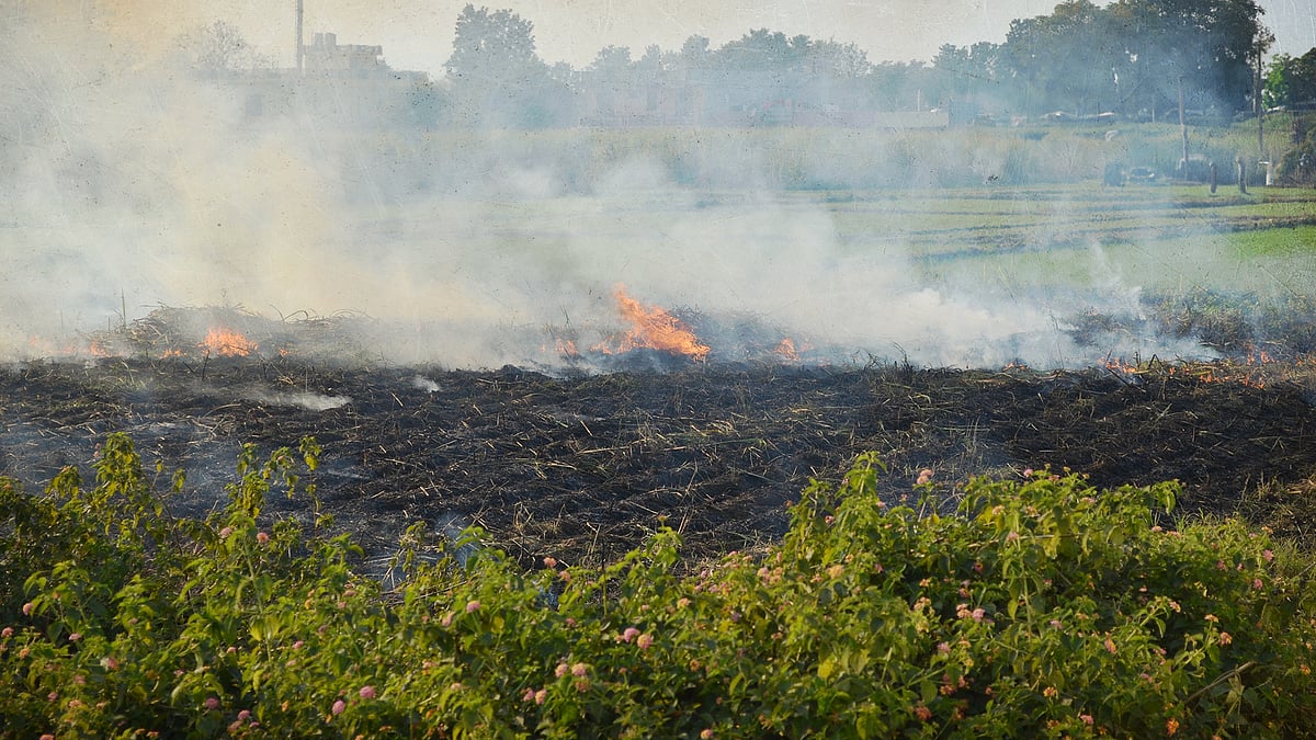 Smoke billows from a farm fire in Punjab.