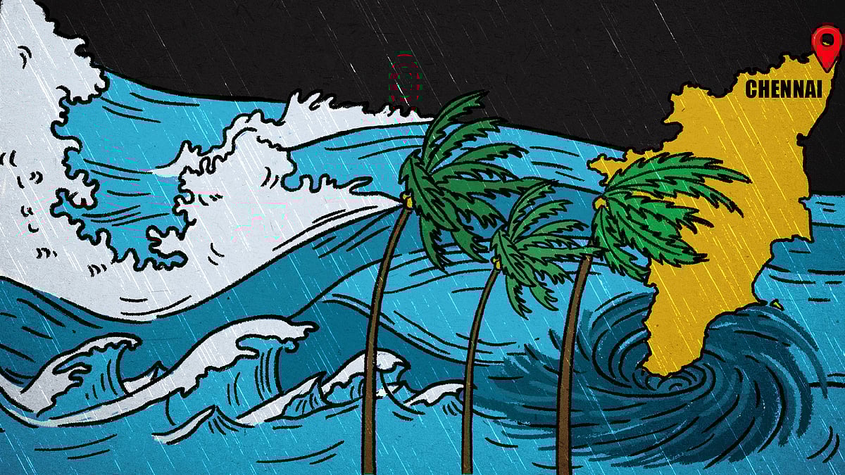 Illustration of Tamil Nadu with a tumultuous sea and coconut trees blowing in the wind. 