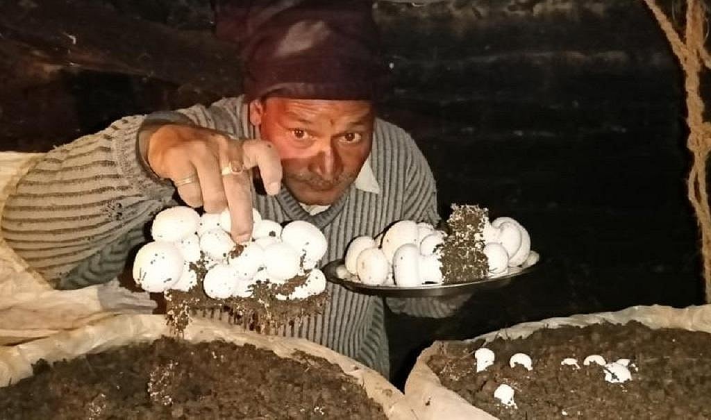 जलवाायु परिवर्तन के कारण उत्तराखंड में खेती मुश्किल हो रही है, लेकिन किसान दूसरे तरीके आजमाने लगे हैं.
