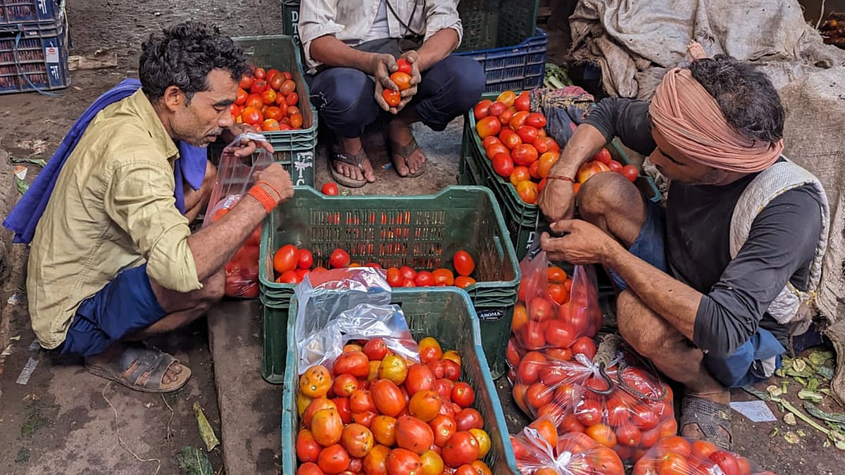 At the Okhla market in Delhi.