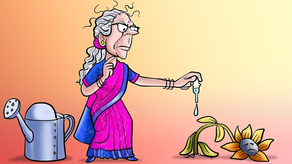 Nirmala Sitharaman watering a withering plant. 