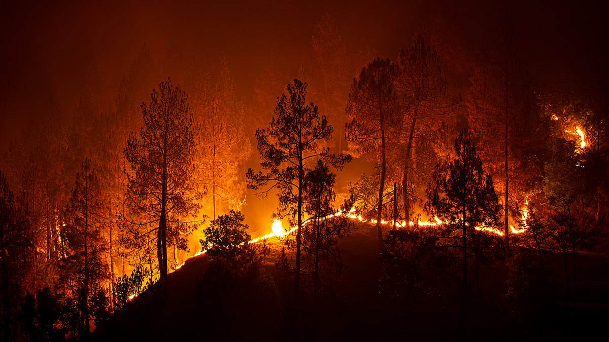 A forest fire in Uttarakhand.