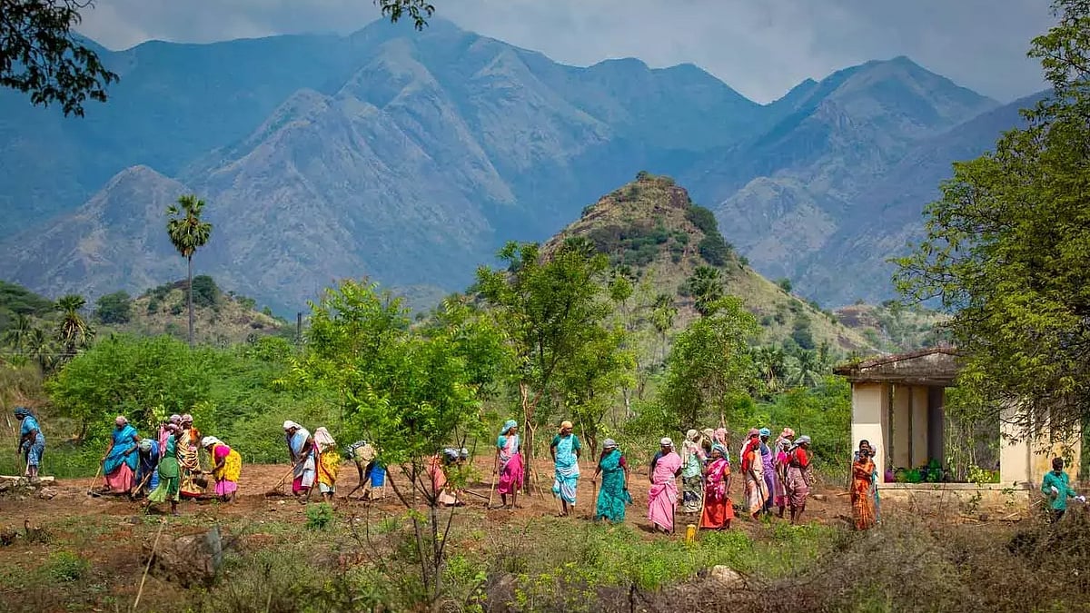 Representational image.