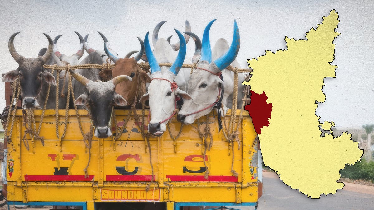 Uttara Kannada on the map with a picture of cattle in a truck.