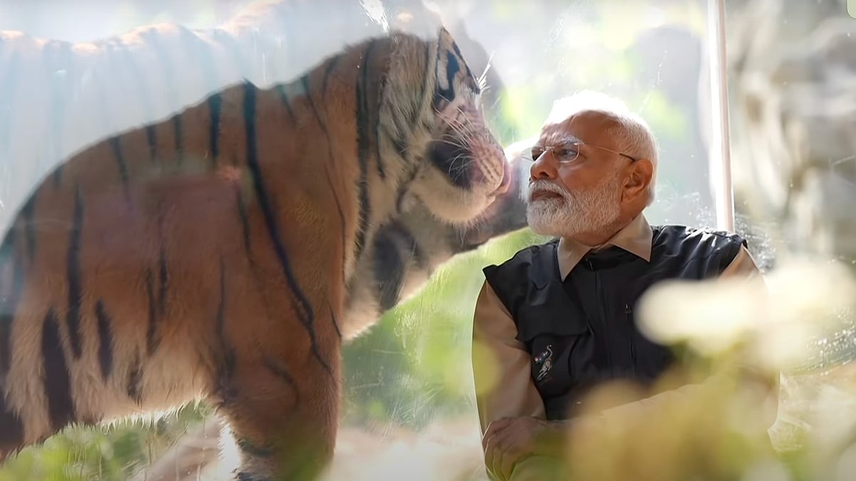 Modi looks at a tiger at Vantara.