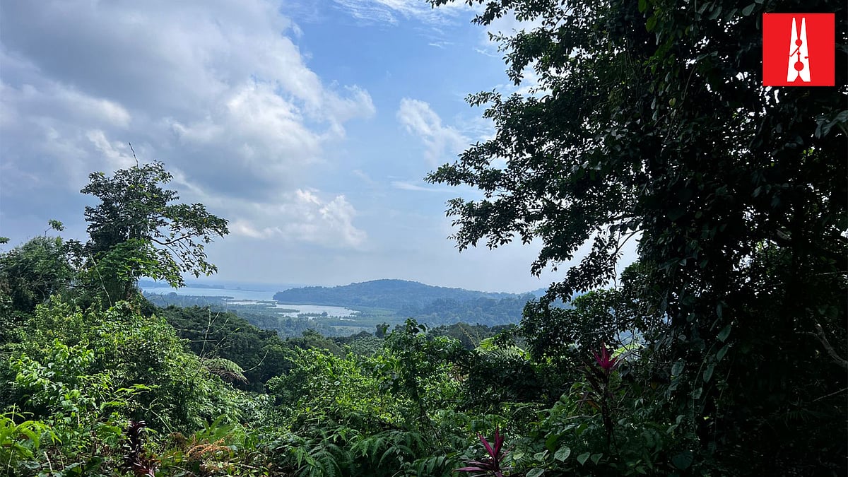 The rainforests of Great Nicobar are home to endemic plant and animal species, and tribal communities.