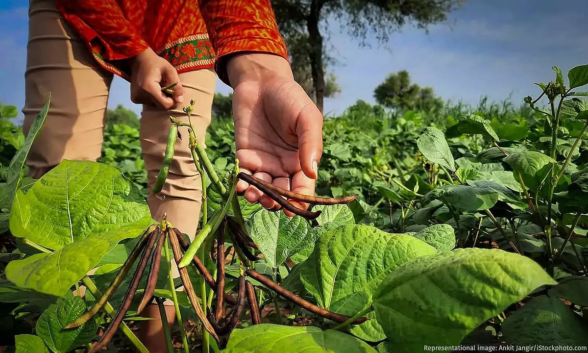 Representational image.