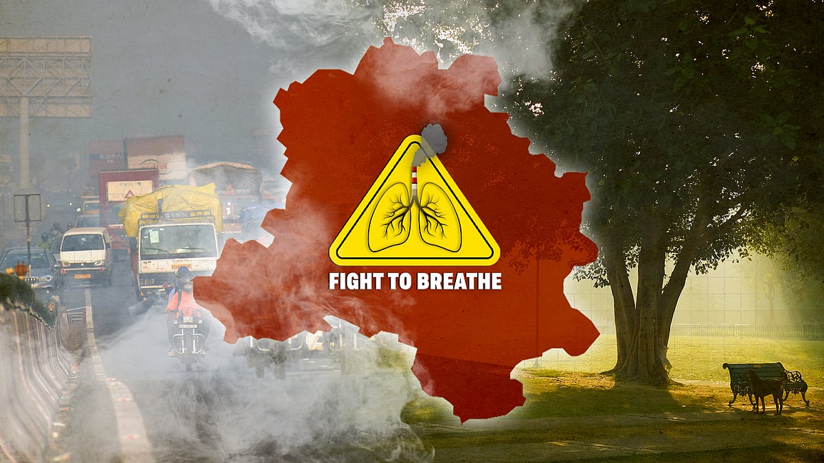 Delhi's Air: A Tale of Two Cities