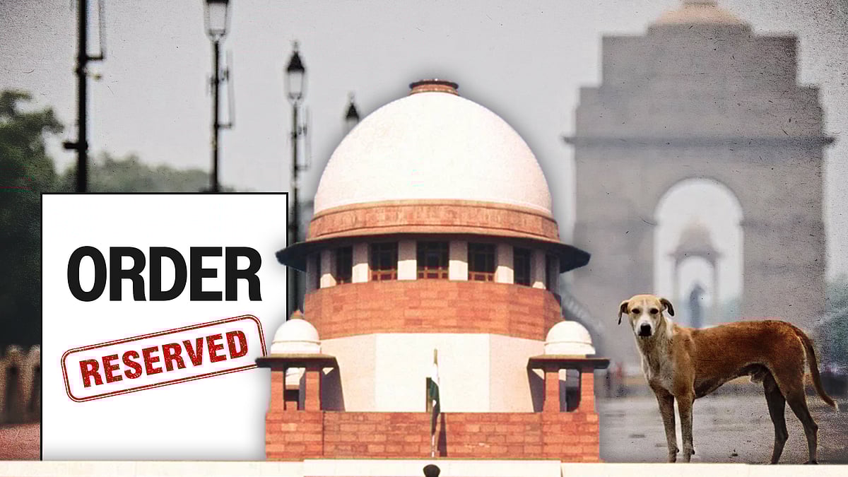 सुप्रीम कोर्ट और आवारा कुत्ते की तस्वीर. पृष्ठभूमि में इंडिया गेट, दिल्ली.