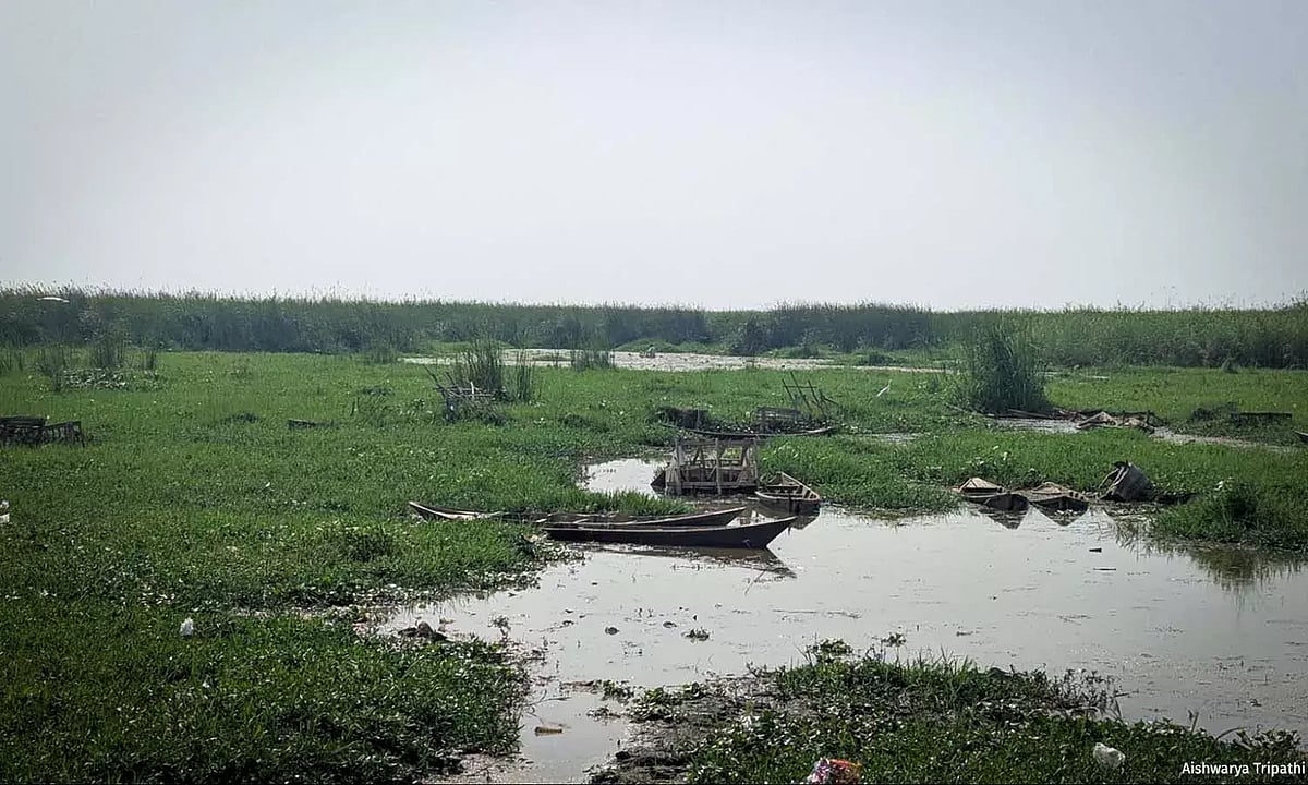 Agriculture in Talab Baghel, Bahraich’s largest inland natural lake, is flourishing over shrinking wetland beds. 