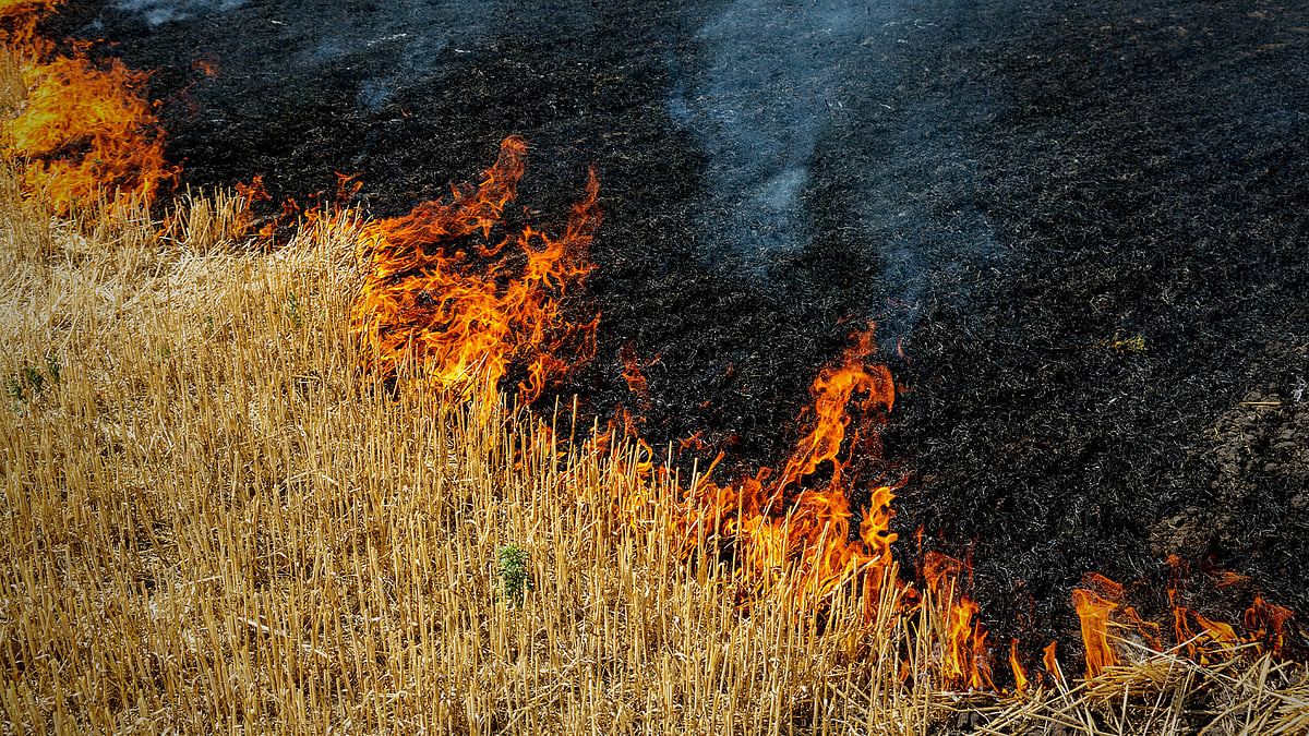 Picture for representation.