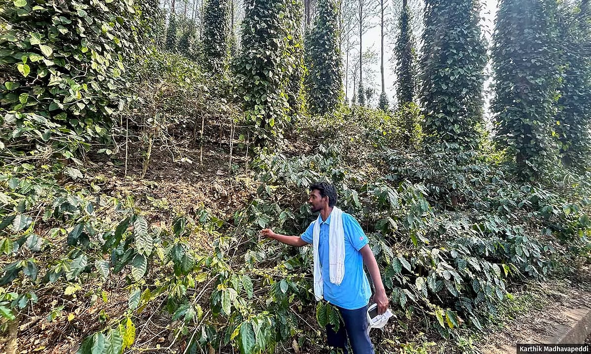 How Araku’s coffee farmers are tackling climate change 1 Lankela Visweswara Rao, 41, is an IT engineer who took to growing coffee in his village in AP.