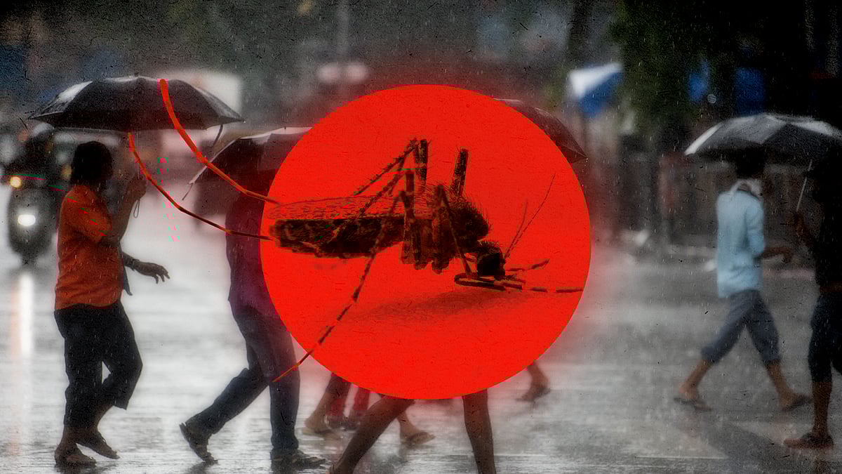 भारत में मानसून के दौरान नमी और तापमान बढ़ रहा है. 