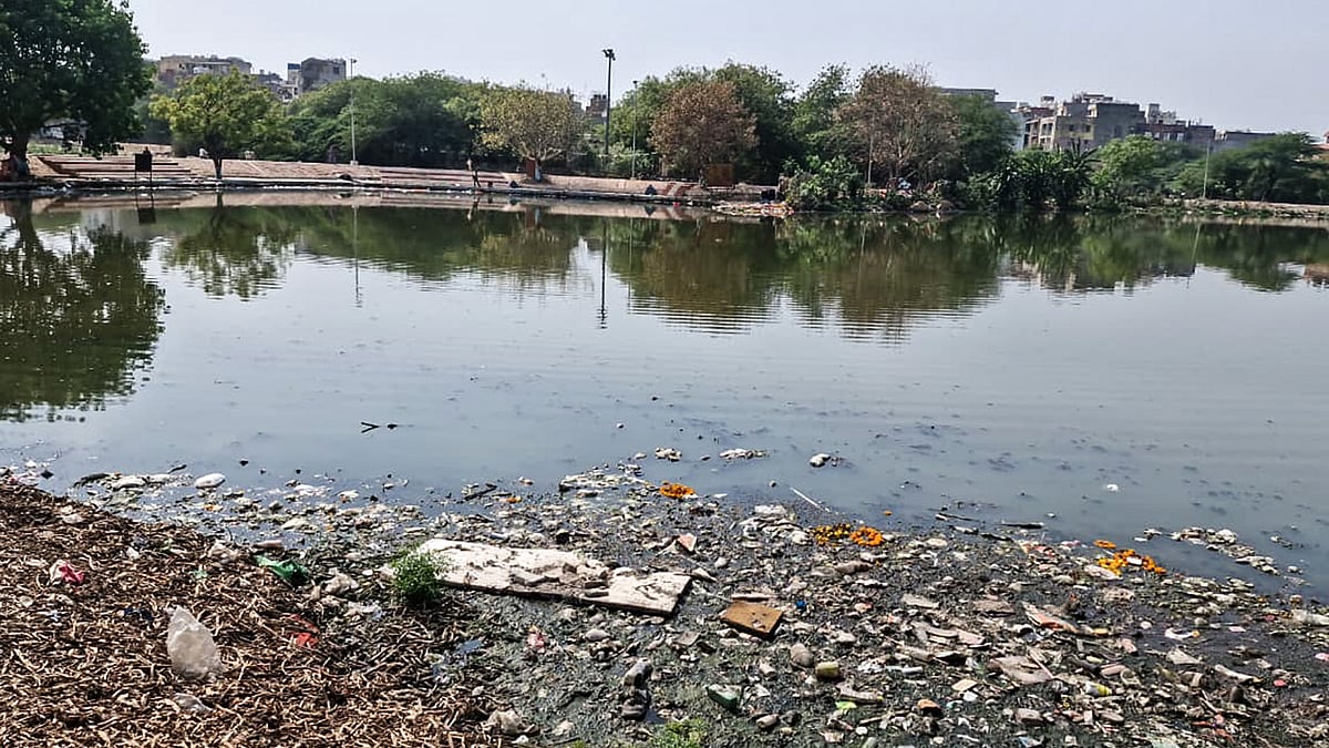 The pond in Maidan Garhi. (Image courtesy Akankhya Rout)