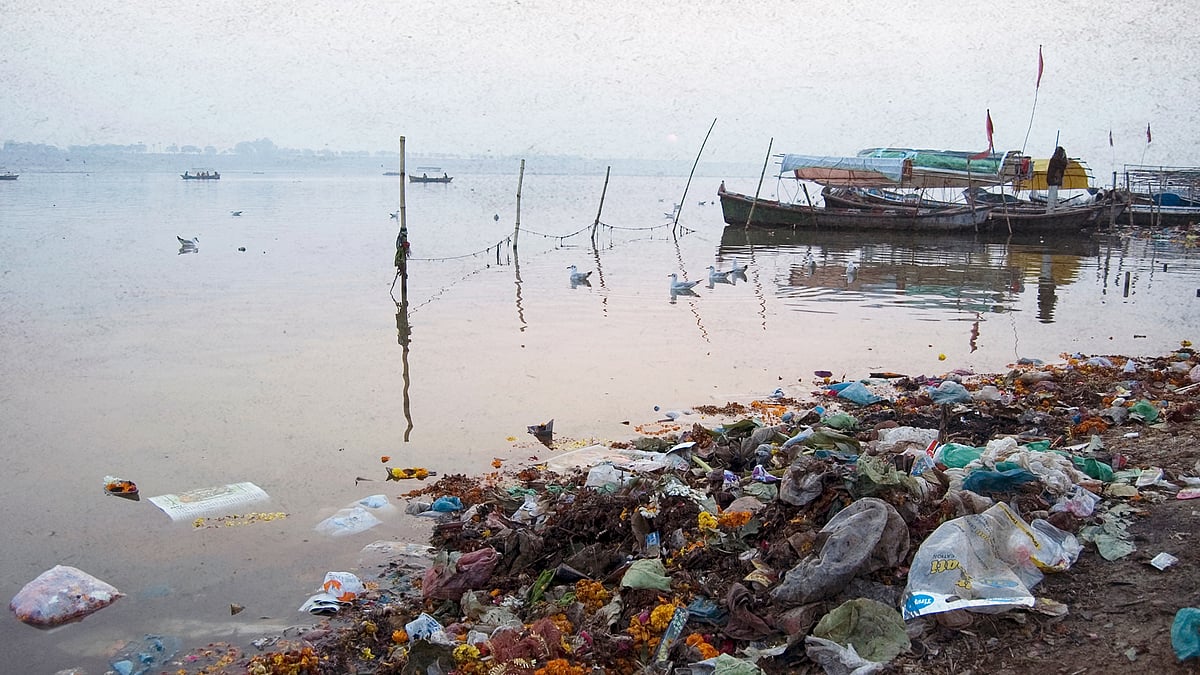 world environment day India's 46 percent rivers are polluted