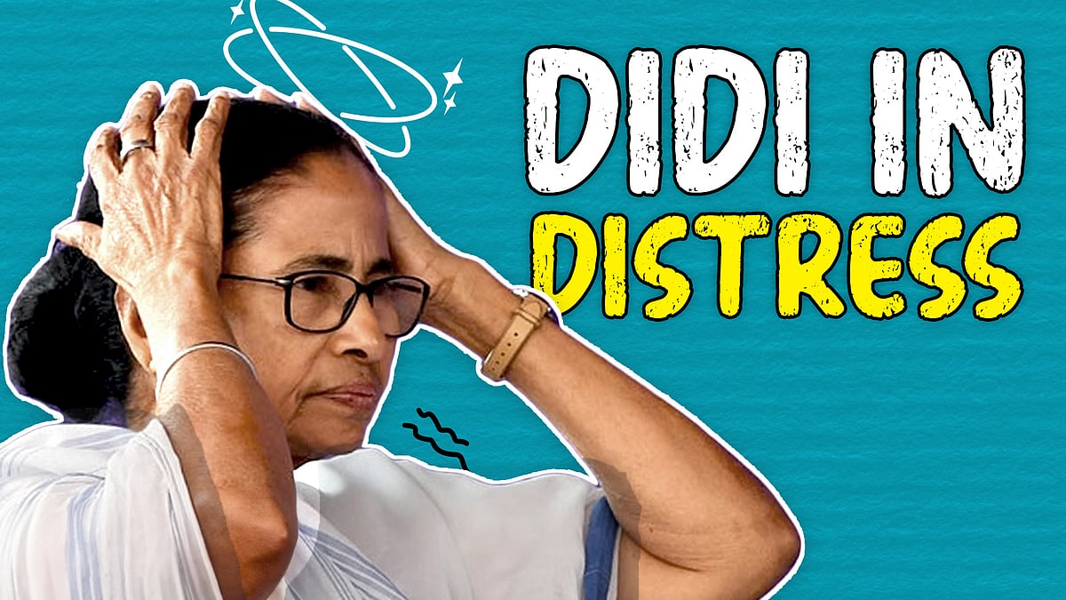 Didi In Distress