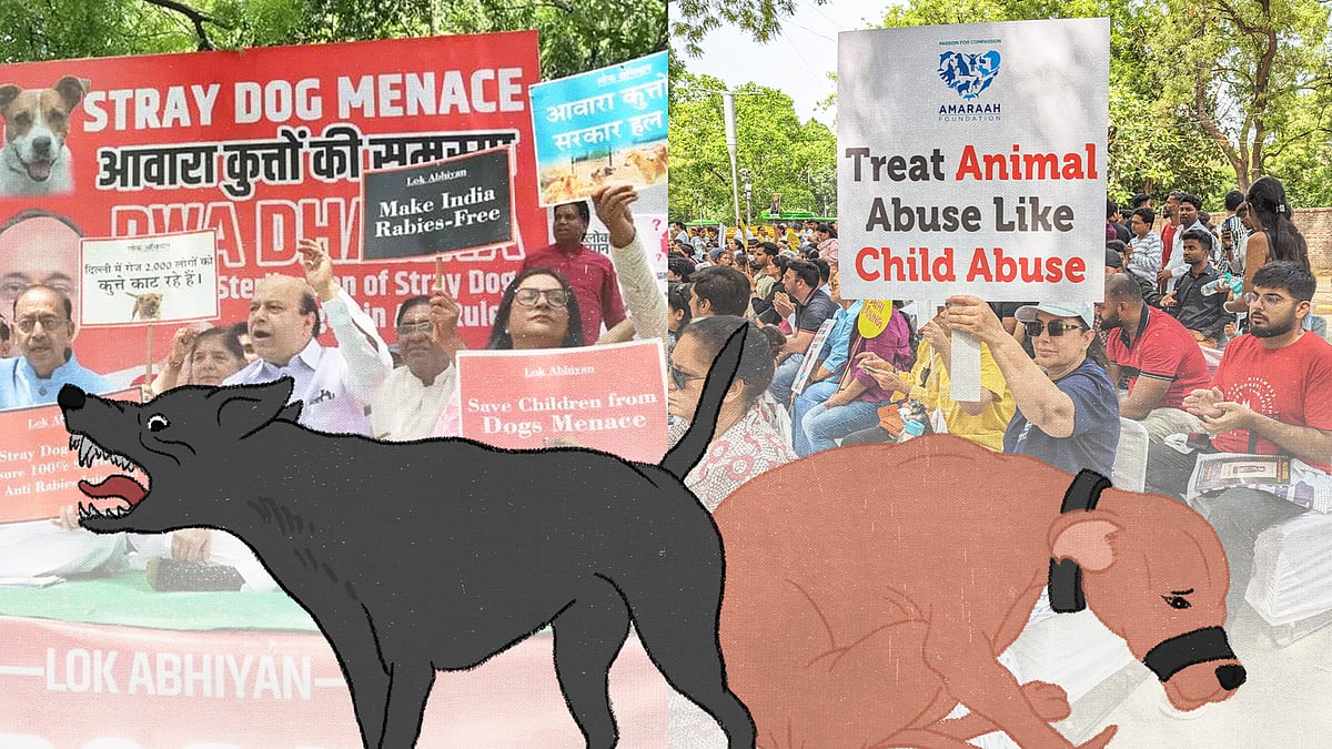 Against Dogs Over 25,000 bites, zero accountability: Inside Delhi’s bitter war over ...