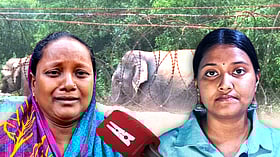 631 deaths, 4 years: Inside Odisha’s elephant conflict zone