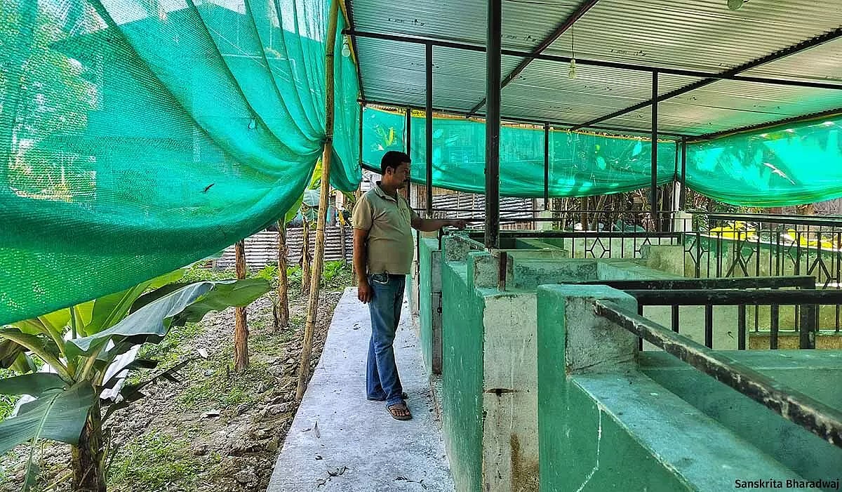 Padum Giri at his pig farm in Betbari in Sivasagar district of Assam.