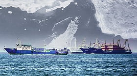 Iran gives safe passage to India through Strait of Hormuz? 'Sources' jump the gun again