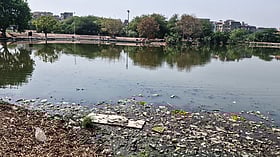 Concrete over commons: How Delhi’s vanishing wetlands are choking on bureaucracy