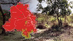 Delhi Ridge: Can Master Plan 2041 safeguard the city's lungs?