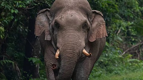 പ്രതീകാത്മക ചിത്രം