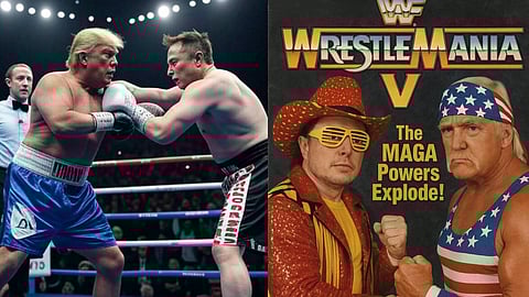 Trump vs Musk social media trolls