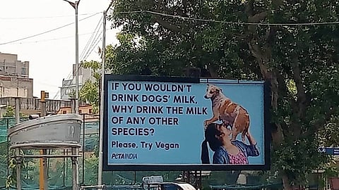 Peta India Veganism supporting Billboard