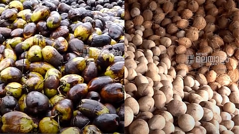 Coconut prices are rising in the state