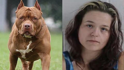US Woman Gets Pet Pitbull To Maul Son For Refusing To Pick Up Dog Poop