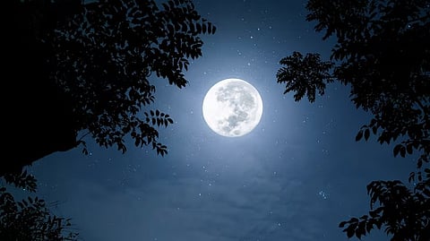 പ്രതീകാത്മക ചിത്രം