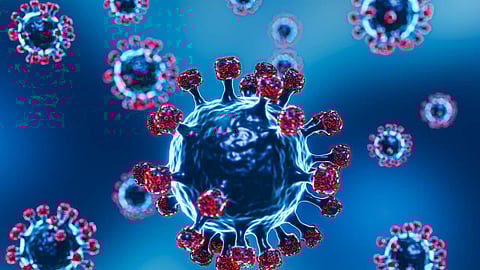 Nipah Virus Representational Image