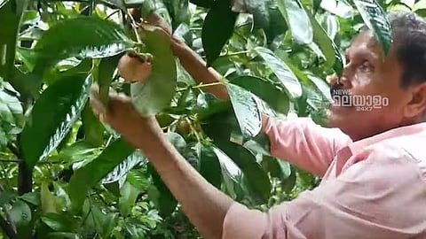കെ.സി. മോഹനന്‍