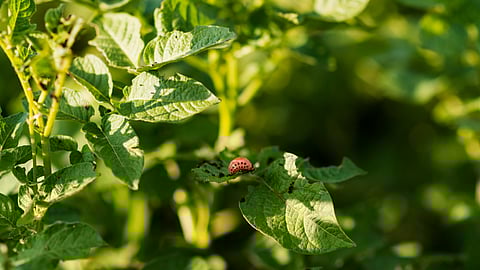 പ്രതീകാത്മക ചിത്രം