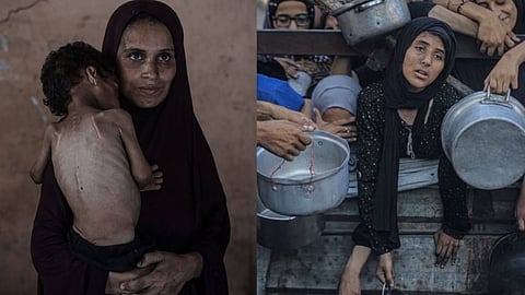 Gaza is starving, Gaza firing in Aid centres