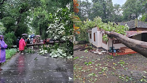 സംസ്ഥാനത്ത് കനത്ത മഴയിലും കാറ്റിലും വ്യാപകനാശനഷ്ടം