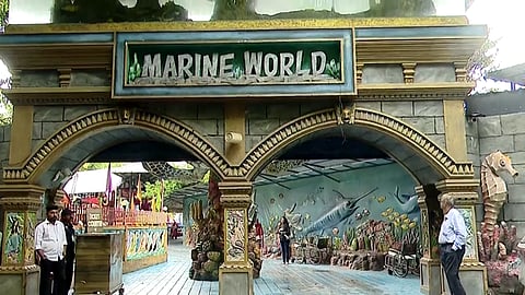 ചാവക്കാട് മറൈന്‍ വേള്‍ഡ്