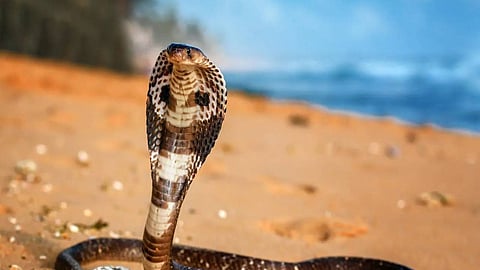 പ്രതീകാത്മക ചിത്രം